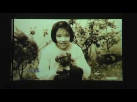 主題：散文寫作和淺語的藝術